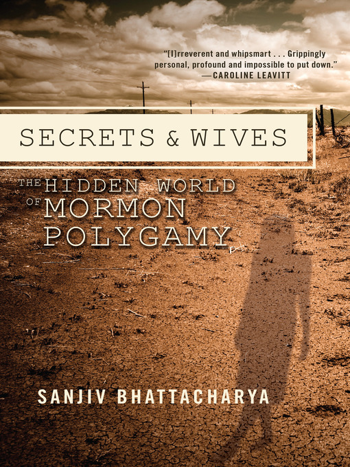 Cover image for Secrets and Wives